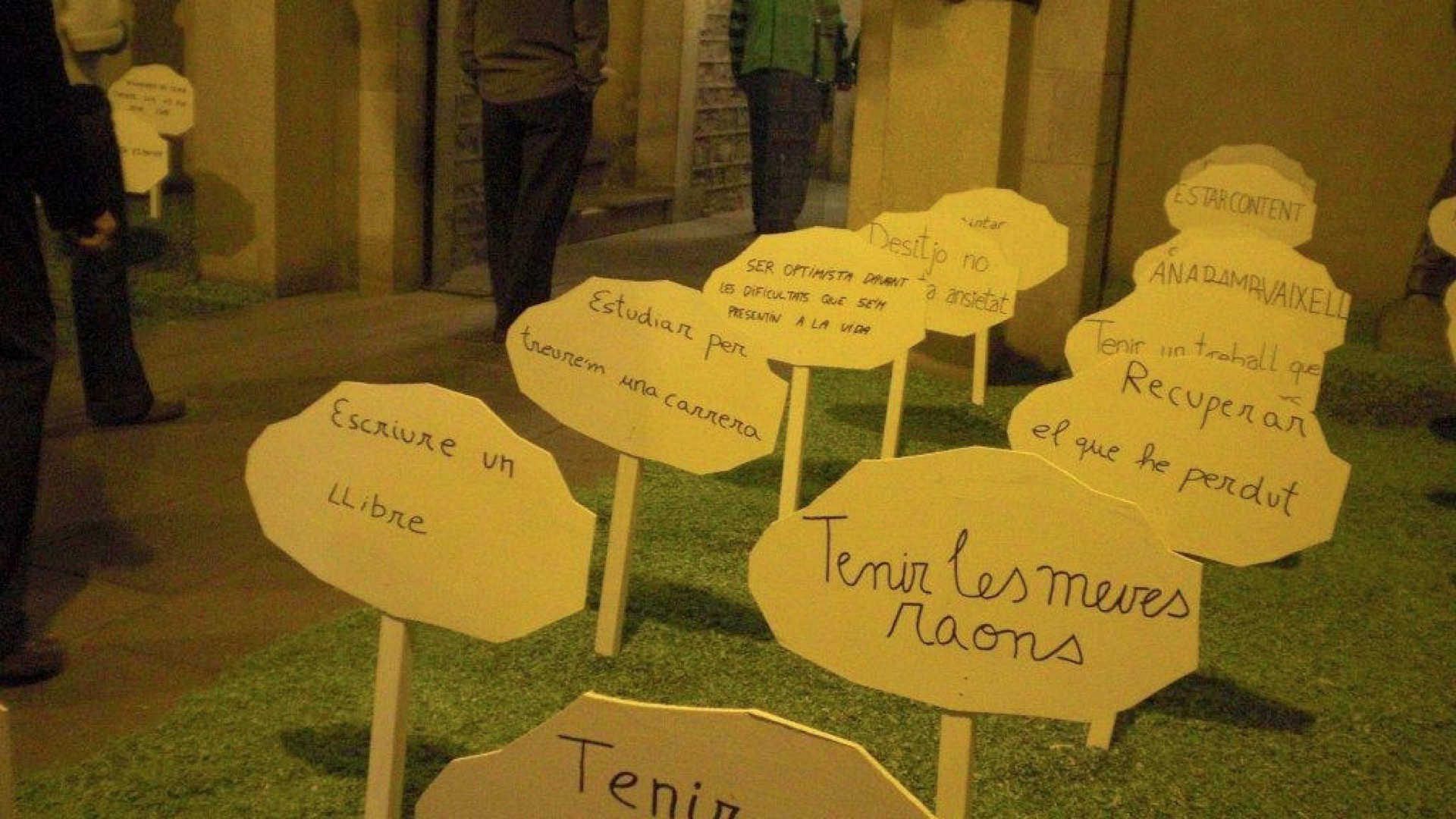 Les meves raons